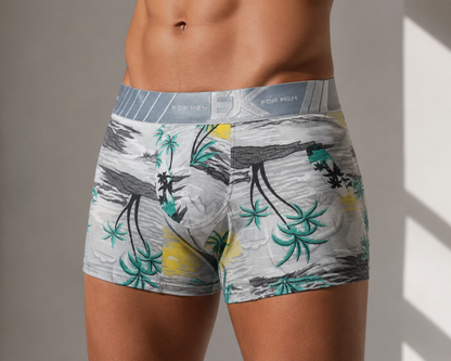 12 Boxers + 3 Pares de Medias GRATIS